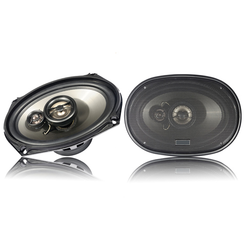 Altavoz Automotriz 6